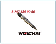 Форсунки Shaanxi,  Shacman 0445120127